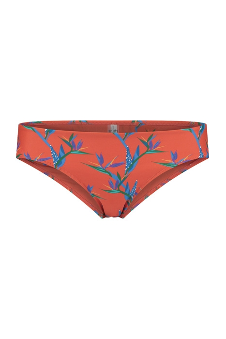 LADIES CRANEFLOWER LOW BRIEF MULTI COLOUR 1