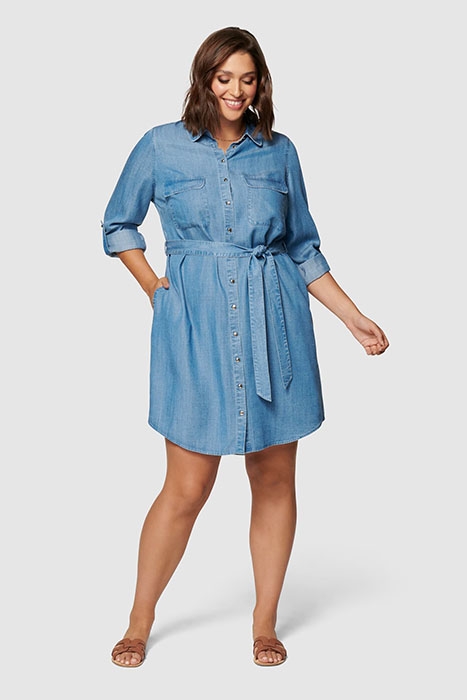 INEZ CURVE UTILITY SHIRT DRESS CHAMBRAY 2