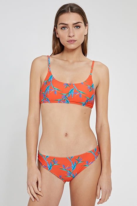 LADIES CRANEFLOWER LOW BRIEF MULTI COLOUR 1