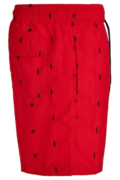 EMBROIDERY SWIM SHORTS LEAF/FIRERED/NAVY 3