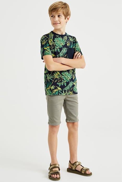 SHORT GREYISH GREEN 2