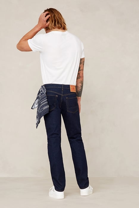 EDRIC XAVIER BLUE RINSE 2