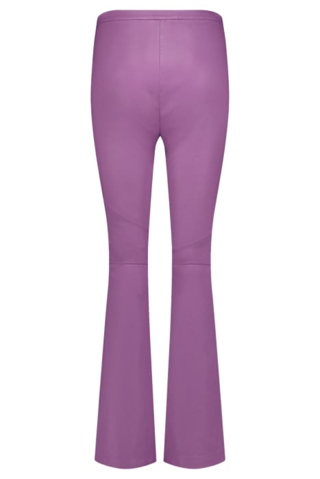 NEW ORGANDI WILD ROSE 4