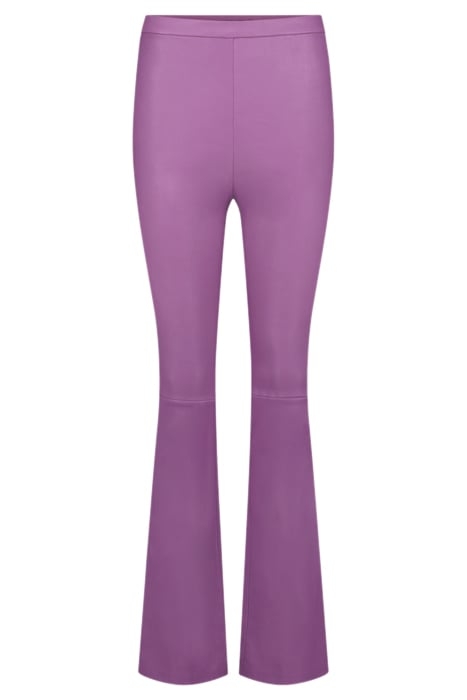 NEW ORGANDI WILD ROSE 3