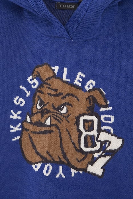 BOYS’ BLUE INTARSIA BULLDOG KNIT SWEATER 5