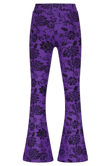 SUZA PASSION PURPLE 2