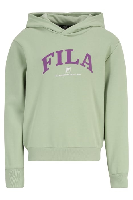 LANGGOENS GRAPHIC CROPPED HOODY SMOKE GREEN 1