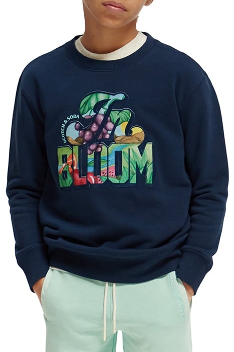 BOYS RELAXED-FIT CREWNECK ARTWORK SWEATSHIRT NIGHT 1