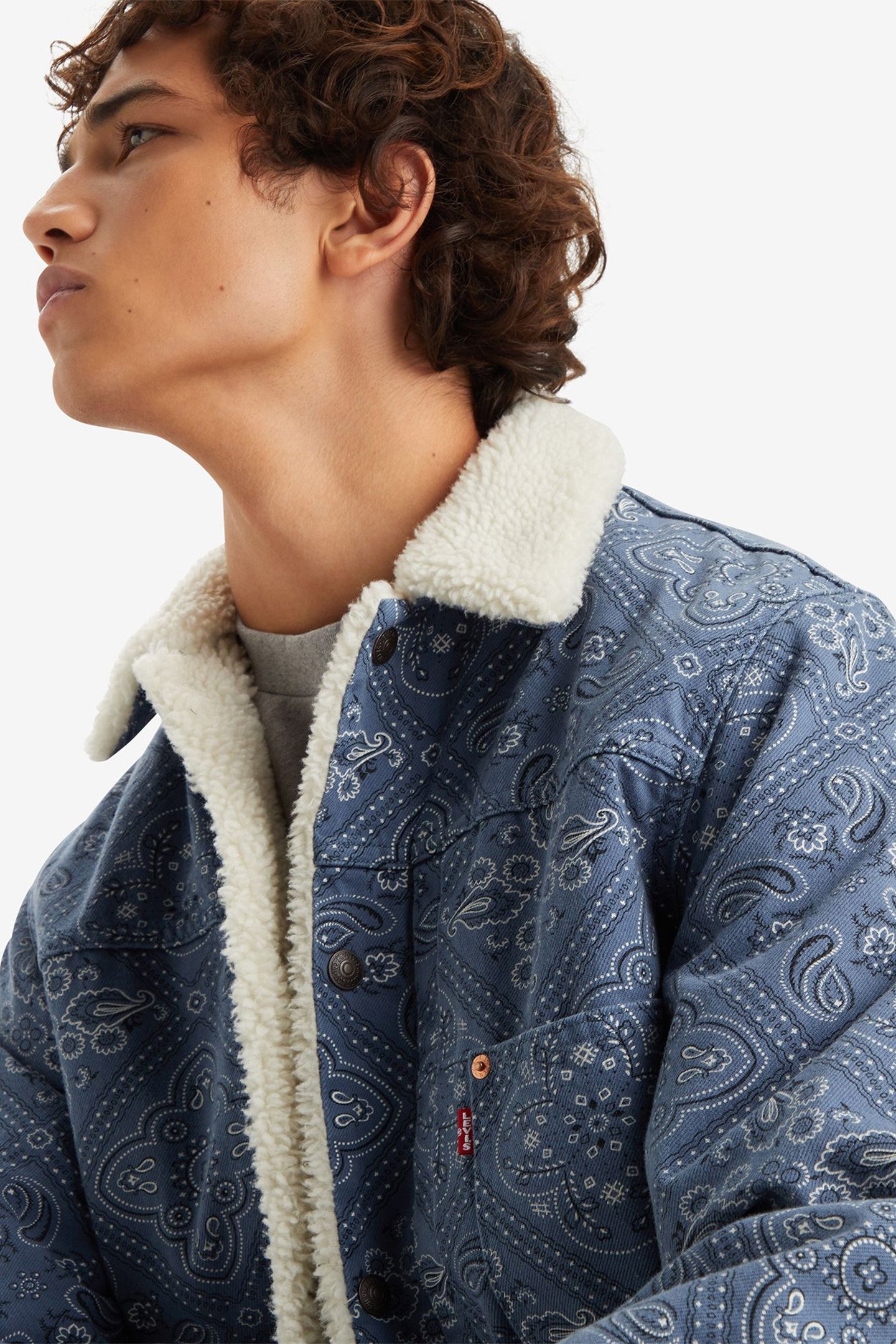 TYPE I SHERPA TRUCKER JACKET 6