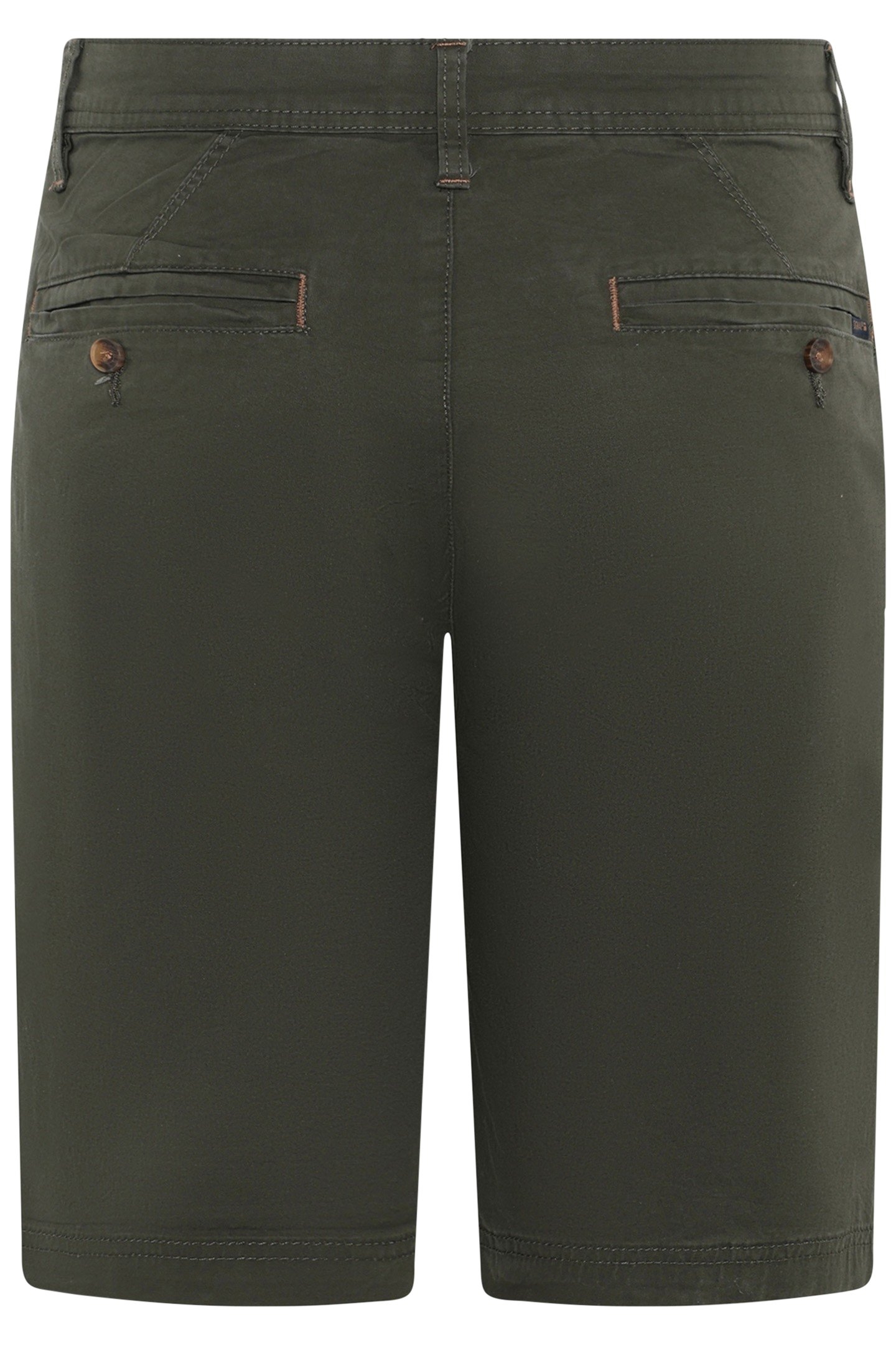 VANSI NEW + GREEN WOOD 2