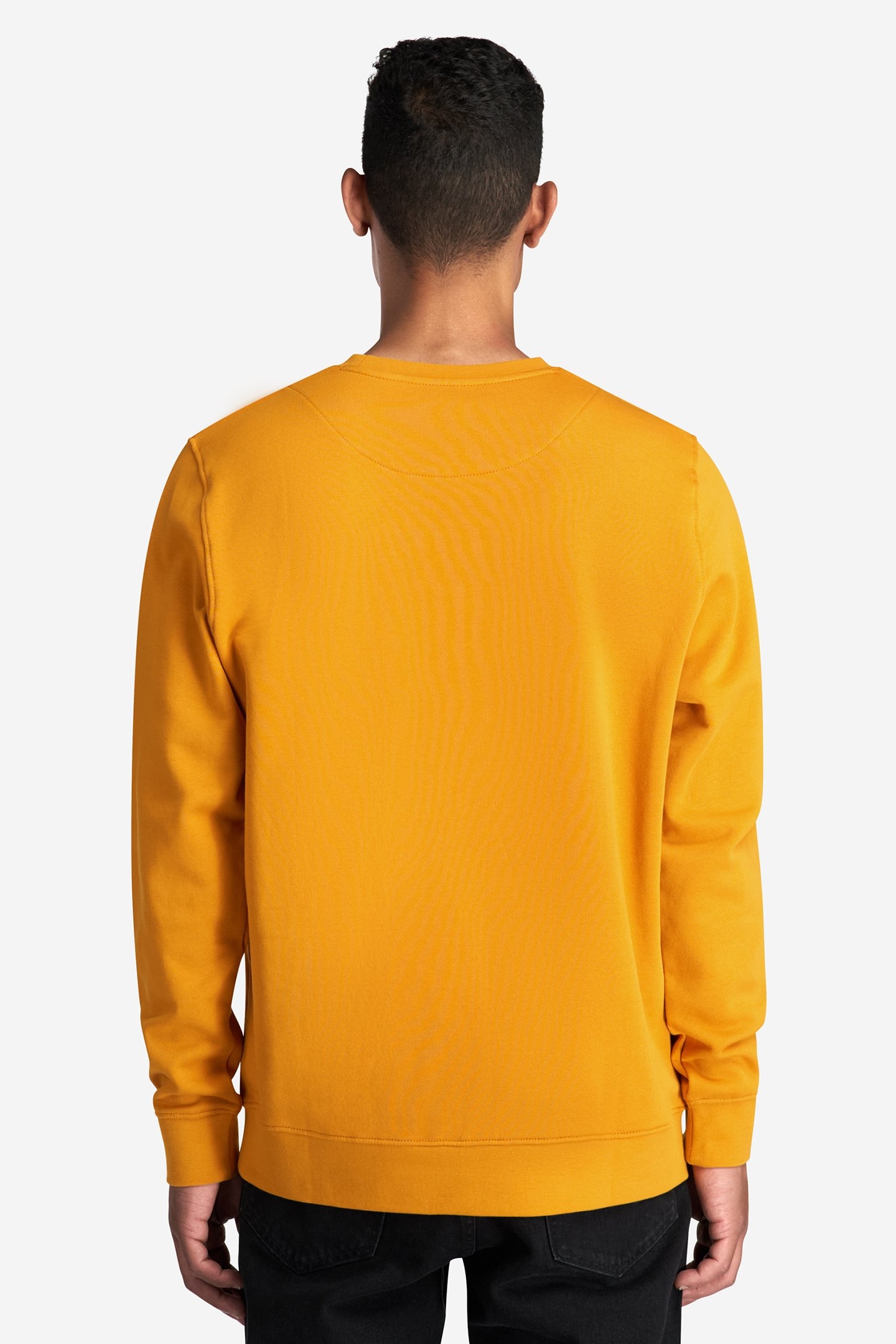 SWEATSHIRT ADAMS APPLE YELLOW 2